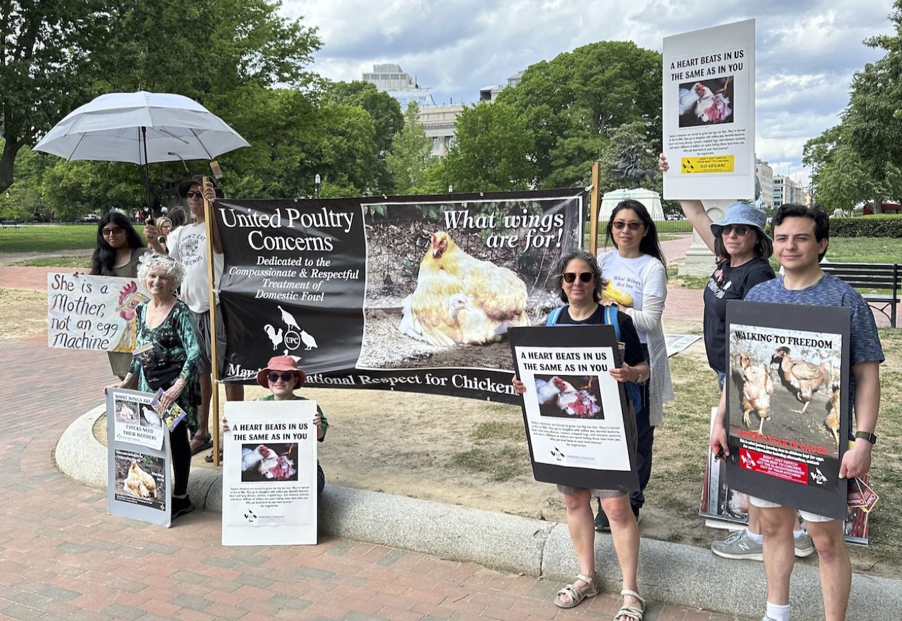 IRCD White House Leafleting 5