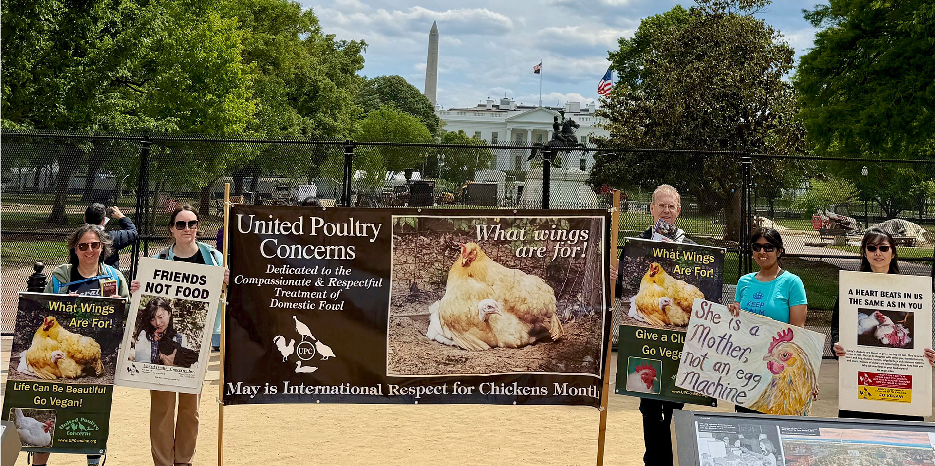 White House Leafleting