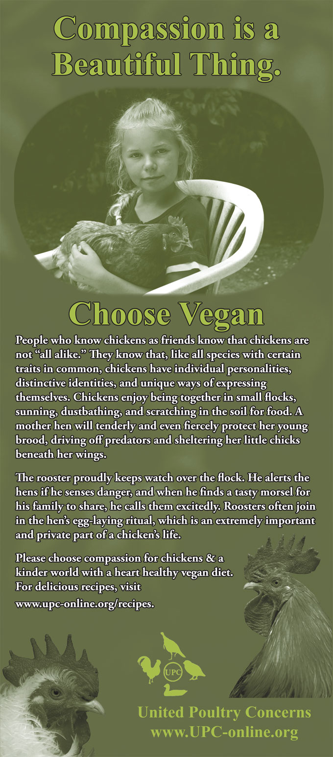 dback compassion beautiful 2014