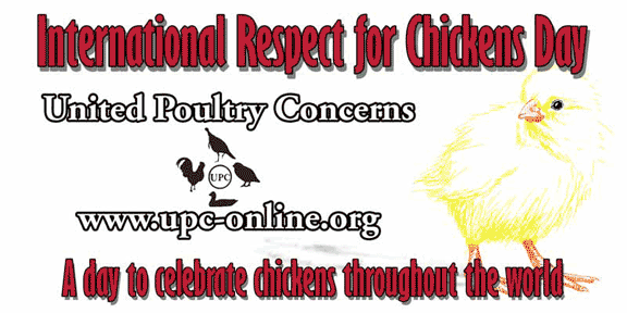 International Respect for Chickens Day Banner