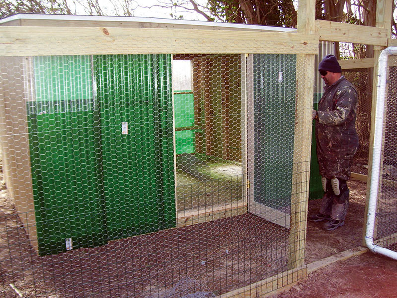 New Enclosure for Hens from Mississippi Cockfighting Raid