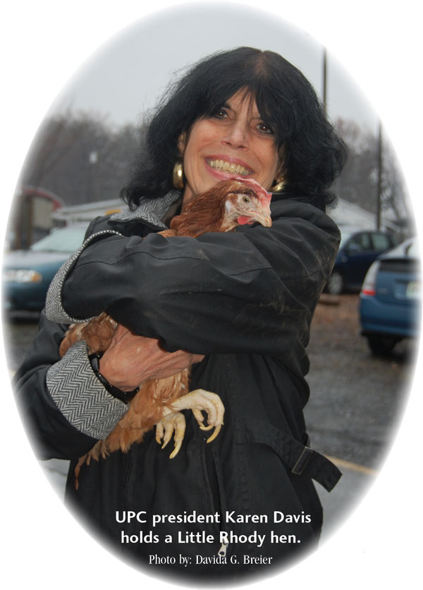 UPC President Karen Davis holds a Little Rhody hen. Photo by: David G. Breier