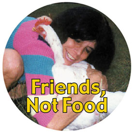 Meet a Turkey Button