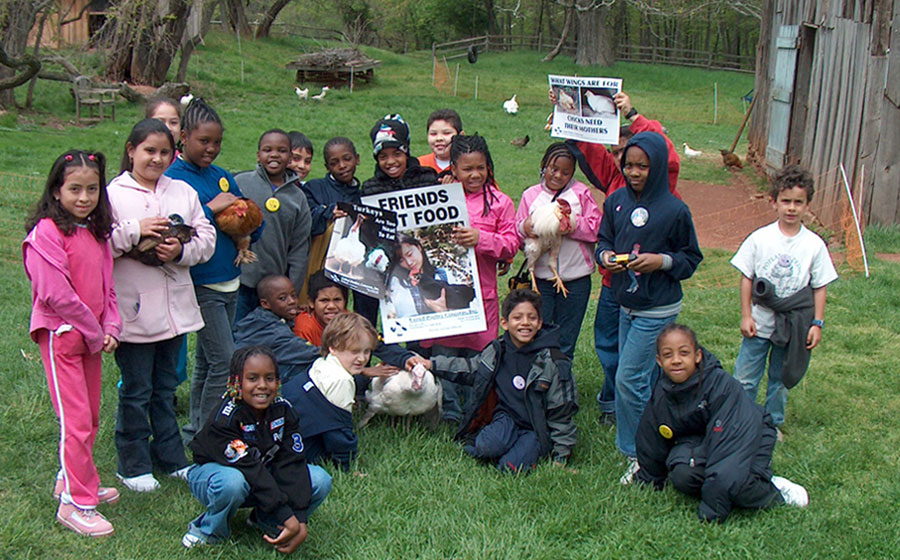 International Respect for Chickens Day at Poplar Spring Animal Sanctuary